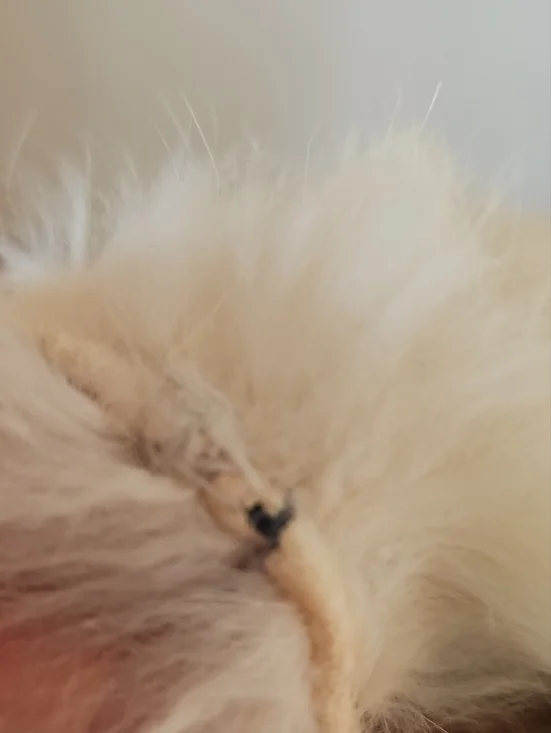 Vintage Rabbit Fur Mittens - Picture 5 of 10